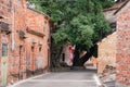 Walking in the Bagua Village of Licha Cun