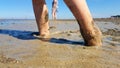 Walking barefoot in the mudflat in North Sea