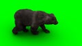 Walking bear. Green screen isolate. 3d rendering.