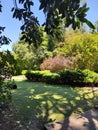 Gulbenkian garden