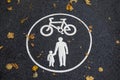 Walking and bicycle lane sign on track outdoors covered in leaves Royalty Free Stock Photo