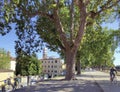 Walking and bicycle path in park on medieval city wall in Lucca