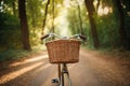 walking bike with picnic basket in nature