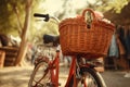 walking bike with picnic basket in nature