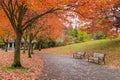 Walking and Biking Park Trails in Fall Royalty Free Stock Photo