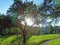 Walking and biking trails along the Sitter River in the city of St. Gallen - Canton of St. Gallen, Switzerland