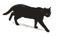 Walking black cat Royalty Free Stock Photo