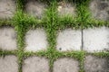 Concrete block with green grass for texture background