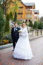 Walking bride and groom in nature Royalty Free Stock Photo