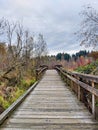 Walking bridge along Mercer Slough Environmental Park in downtown Bellevue, WA Royalty Free Stock Photo