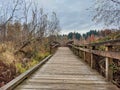 Walking bridge along Mercer Slough Environmental Park in downtown Bellevue, WA Royalty Free Stock Photo