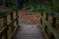 Walking bridge on a hiking trail Royalty Free Stock Photo