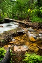 Walking bridge over flowing stream Royalty Free Stock Photo