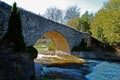 Walking bridge at Webster`s Falls Royalty Free Stock Photo