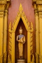 The walking buddha posture in thailand Royalty Free Stock Photo