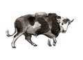 Cow sumi-e