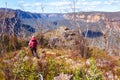 Walking through bushland in upper Blue Mountains