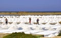 Walking in Cavallotti`s villa. Marsala - Sicily