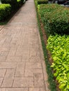 the walking corridor with beautiful plants