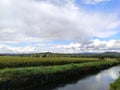 A walking in the countryside