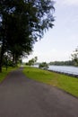Walking and cycling path by the river Royalty Free Stock Photo