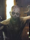 Walking dead zombie side art