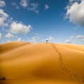 Walking in desert Royalty Free Stock Photo