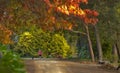 Walking the dog on a beautiful autumn day in country Victoria. Royalty Free Stock Photo