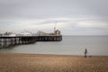 Walking the dog on Brighton beach during lock down