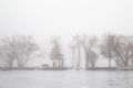 Walking Dog in Foggy Morning Lake in Winter Royalty Free Stock Photo