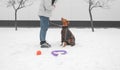 Walking with a dog and playing on the winter street. Girl wearing warm clothes and a dressed dog playing in the snow. Owner and Royalty Free Stock Photo