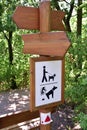 Walking the dog road sign in the woods Royalty Free Stock Photo