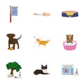 Walking with a dog, a vet clinic, a dog haircut, a puppy bathing, feeding a pet. Vet clinic and pet care set collection