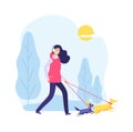 Walking dog. Woman on nature, pet owner. Two cute dogs and girl in park or forest. Healthy lifestyle with animals vector Royalty Free Stock Photo