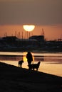 Walking dogs on a beach