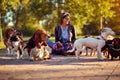 Walking dogs - woman dog walker enjoying with dogs Royalty Free Stock Photo