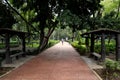 Walking Through Empty Park in Mexico City Royalty Free Stock Photo