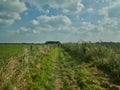 Walking in the Fenlands