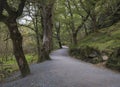 Walking footpath in a Glendalough