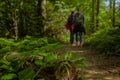 Walking in forest by couple person silhouette outline on background and focus green foliage foreground