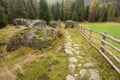 Walking into the forest long a path in a cloudy day. No people a Royalty Free Stock Photo