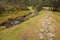 Walking into the forest long a path in a cloudy day. No people a Royalty Free Stock Photo