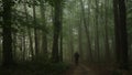 Walking in forest