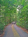 Walking in a forest reserve