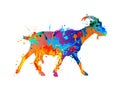 Walking goat silhouette of splash paint