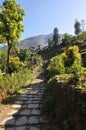 Walking in the green outskirts of the Annapurna track
