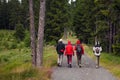 Walking group of hikers on a path near a meadow in the forest