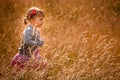 Walking through the high grass Royalty Free Stock Photo