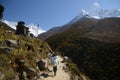 Walking in the Himalayas Royalty Free Stock Photo