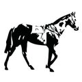 Walking horse, vector illustration Royalty Free Stock Photo